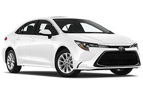 Toyota Corolla or similar