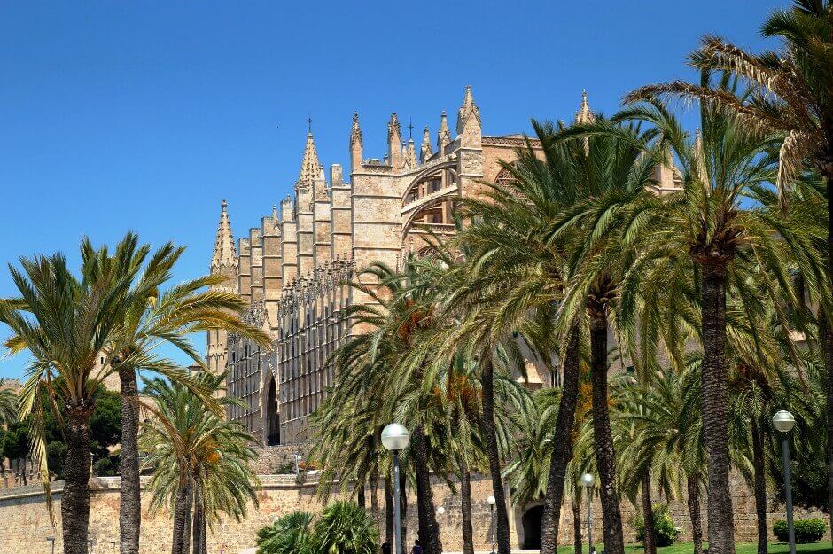 La cathédrale de Palma de Majorque derrière une rangée de palmiers.