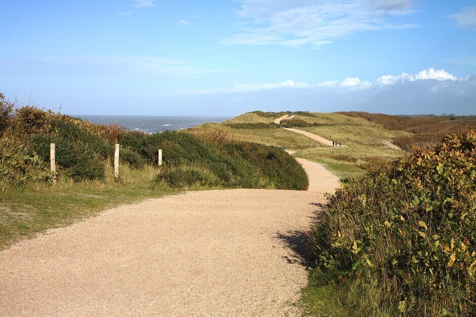 Paysage de dunes en Zélande.