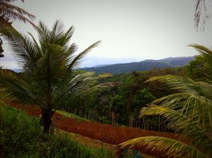 Vue de l'île de Basse-Terre à la Guadeloupe.