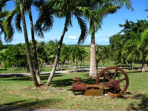 Vue d'une distillerie à la Guadeloupe.