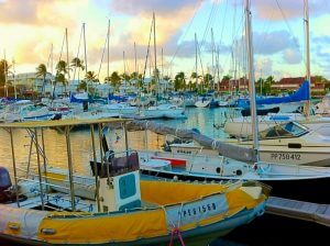 Vue d'un port de plaisance à la Guadeloupe.