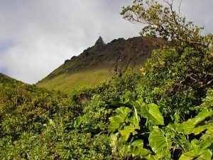 Vue de la montagne de la Soufrière à la Guadeloupe.