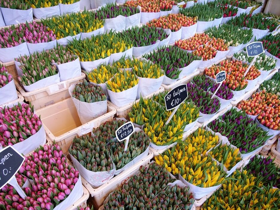 Vue de bouquets de fleurs à Amsterdam.