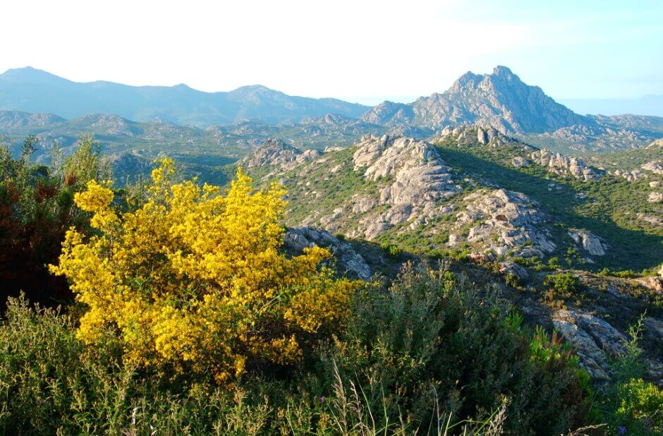 Vue d'un plateau de montagne en Corse.