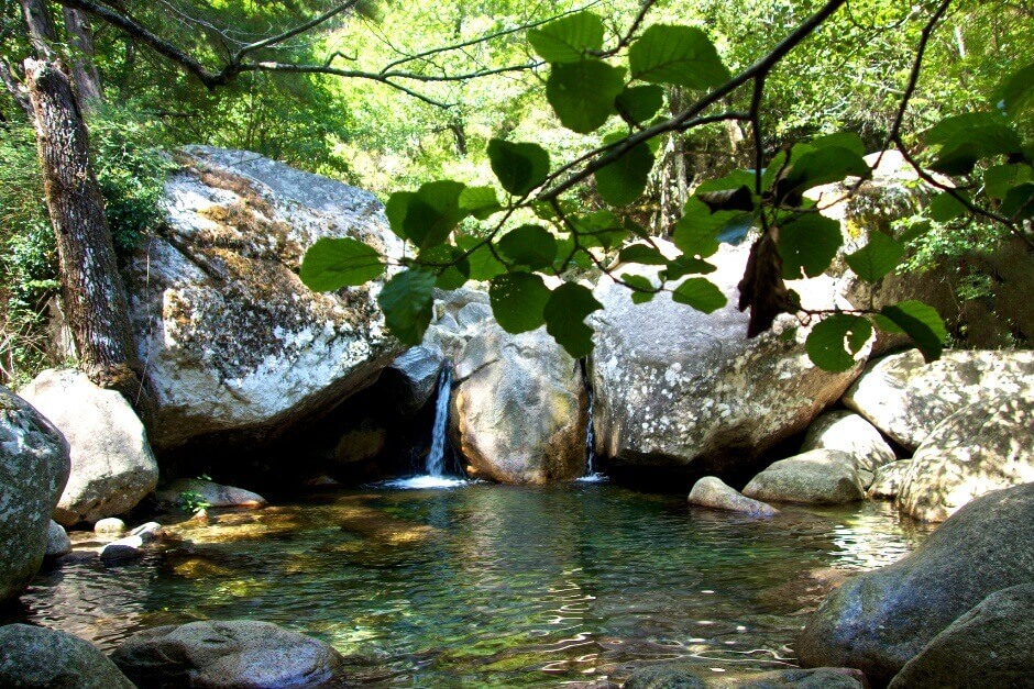 Vue d'une petite cascade dans la forêt en Corse.