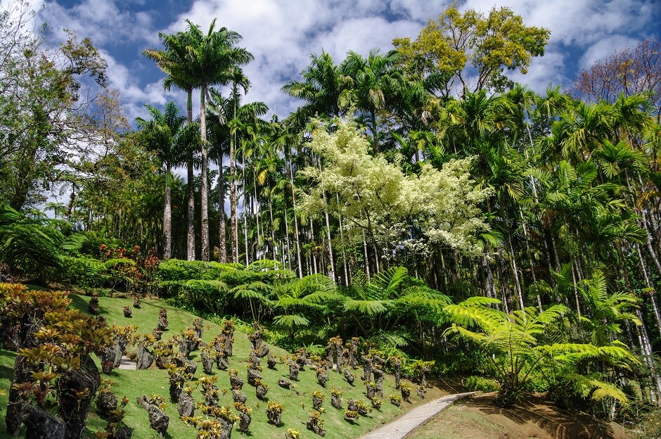 Vue du jardin de Balata en Martinique.