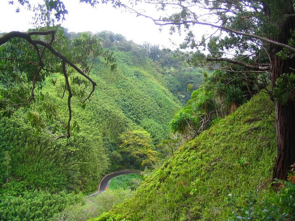 Vue d'une route dans les collines à Hawaii aux USA.