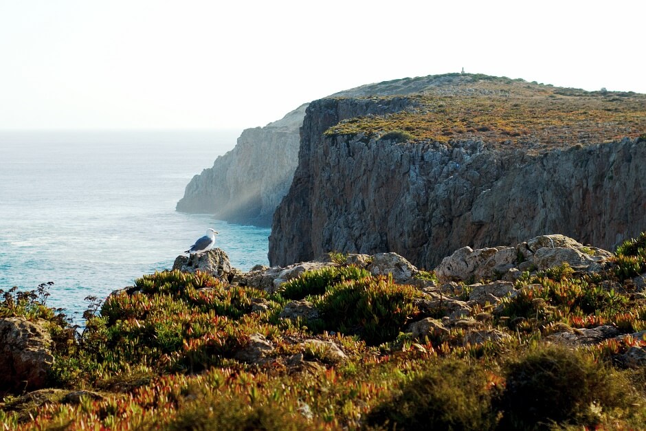 algarve-sagres