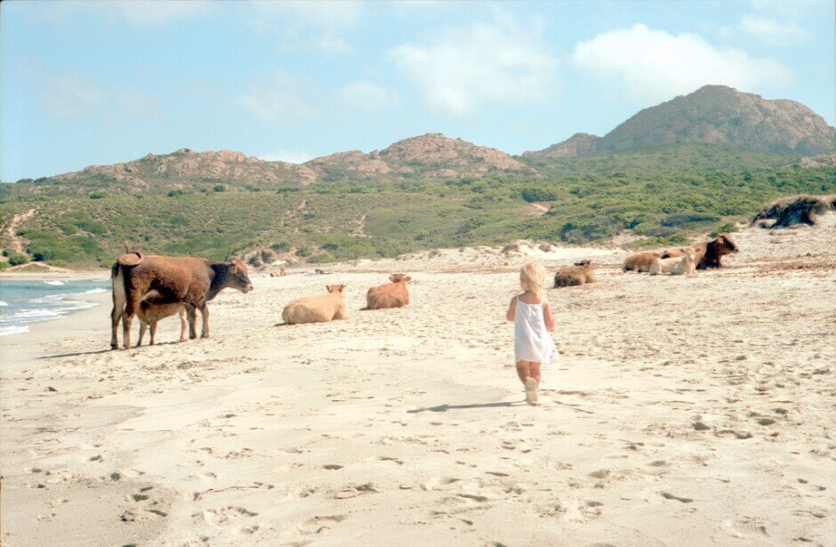 Plage de Barcaggio en Corse.