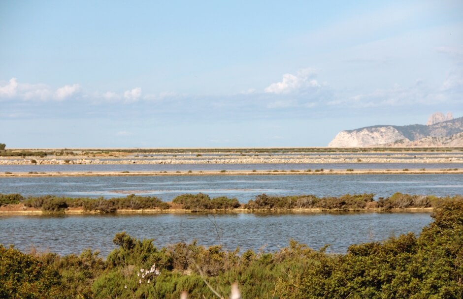 Vue du parc naturel de Ses Salines à Ibiza.