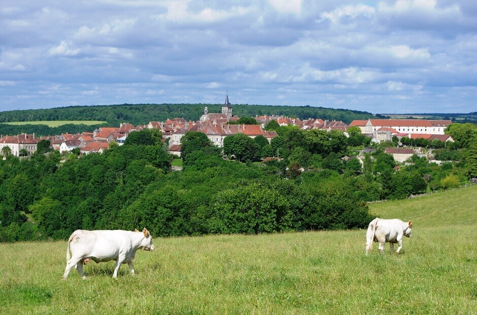 Vue du village de Flavigny-sur-Ozerain en Bourgogne.