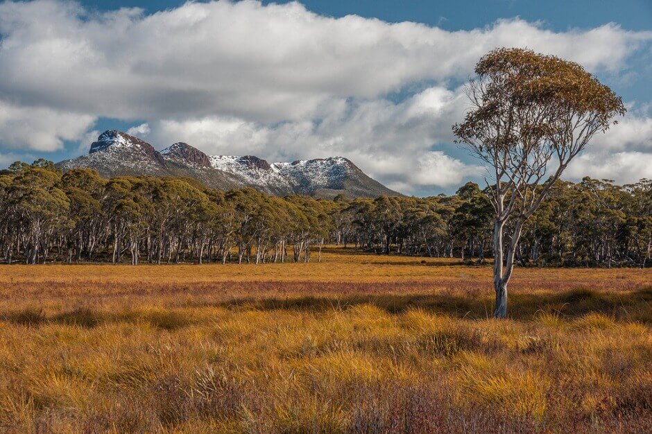 Vue d'un parc national en Tasmanie en Australie.