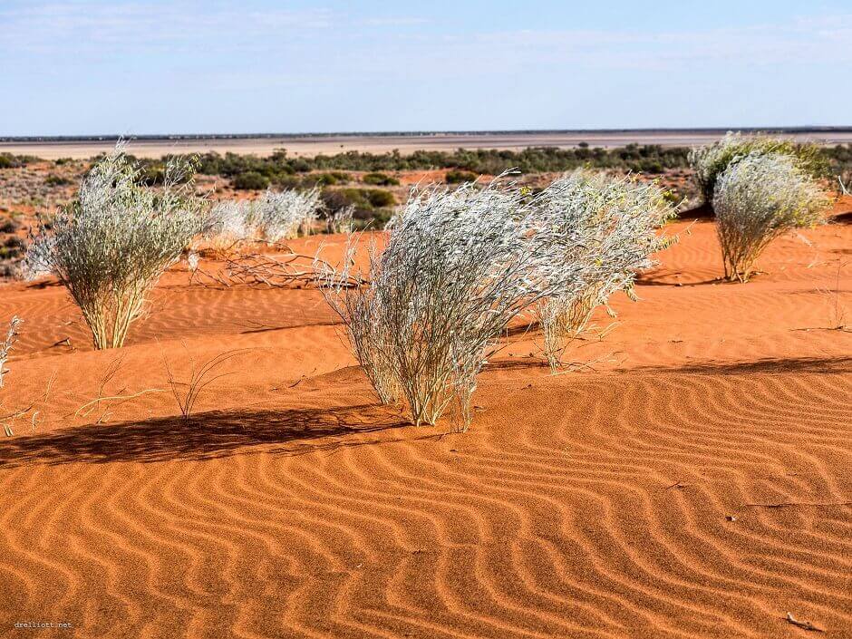 Vue d'un désert de sable rouge en Australie.