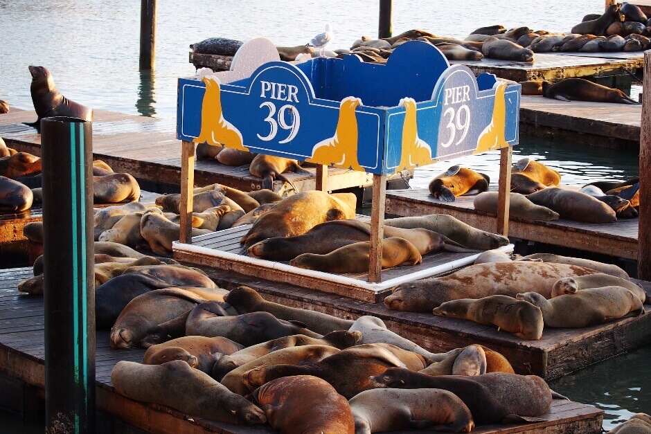 Le quai Pier 39 à San Francisco.