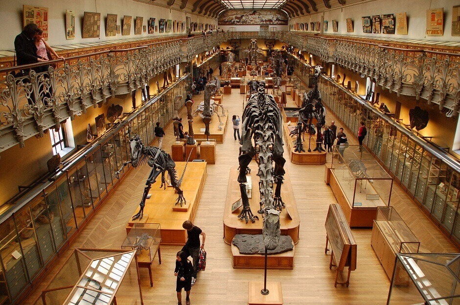 Intérieur du Muséum d'histoire naturelle de Paris.