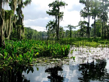 Wakulla Springs en Floride.