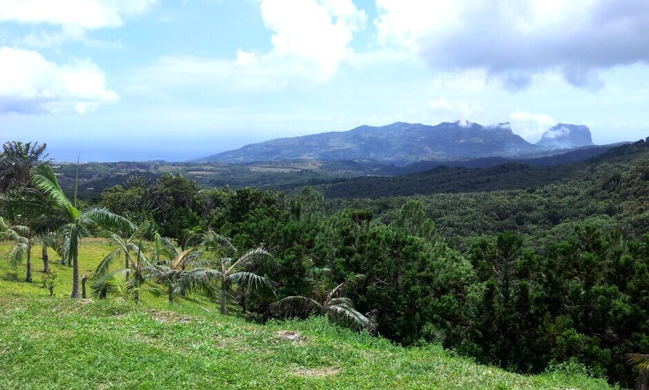 Montagne à l'île Maurice.