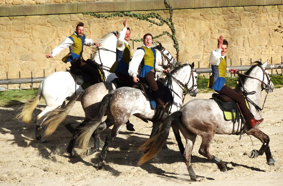 Le parc d'attraction du Puy du Fou.