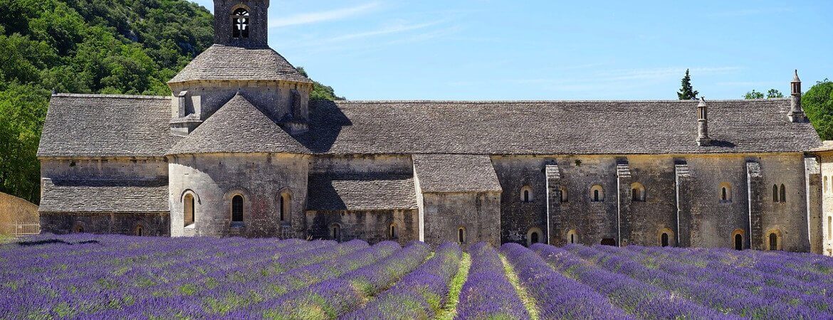 Abbaye et lavande en Provence.