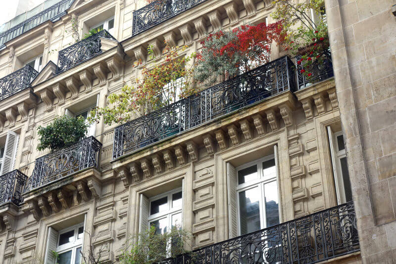 Plantes sur un balcon à Paris.