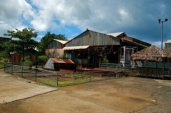 Plantation sucrière en Guadeloupe.