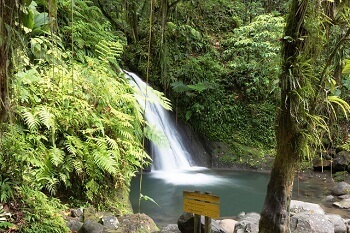 Cascade en Guadeloupe.