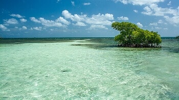 Lagon en Guadeloupe.