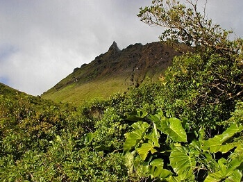 Le volcan de la Soufrière en Guadeloupe.