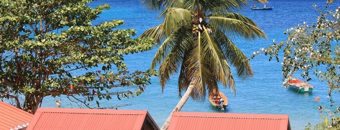 Mer et palmiers en Martinique.