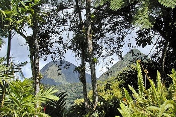 Montagnes et forêt en Martinique.