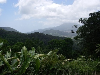 Panorama depuis la trace des Jésuites.