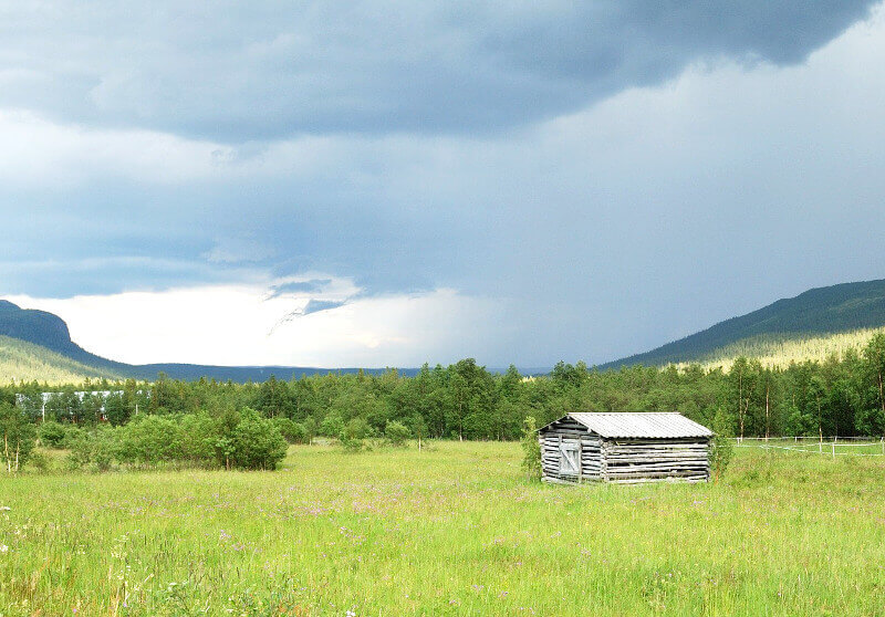 Prairie en Laponie.