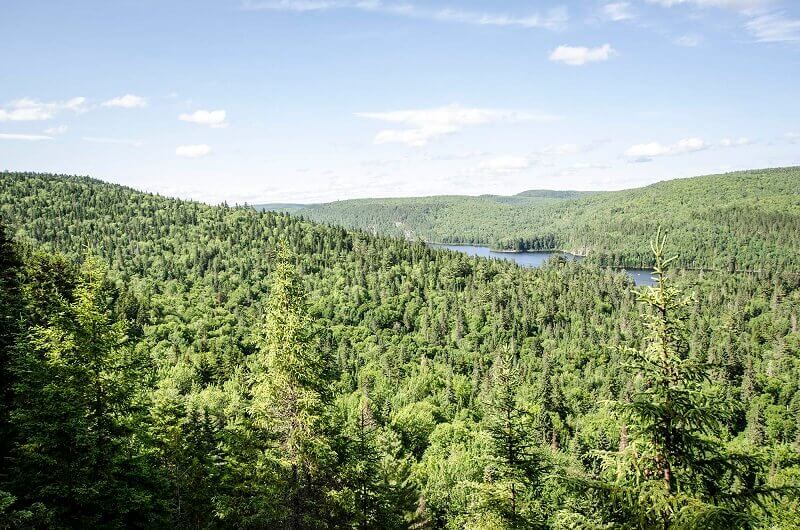 Vue du parc national de la Mauricie au Québec.