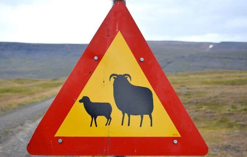 Panneau de signalisation en Islande.