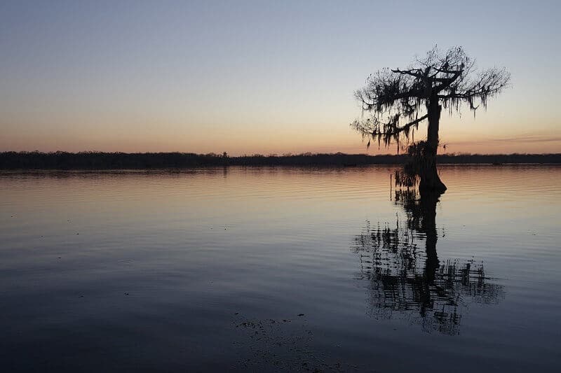 Un lac en Louisiane.
