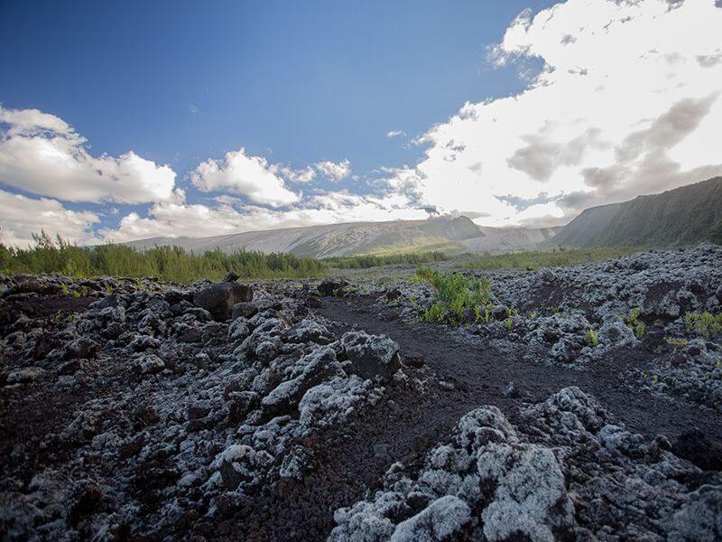 Un champ de lave à La Réunion.