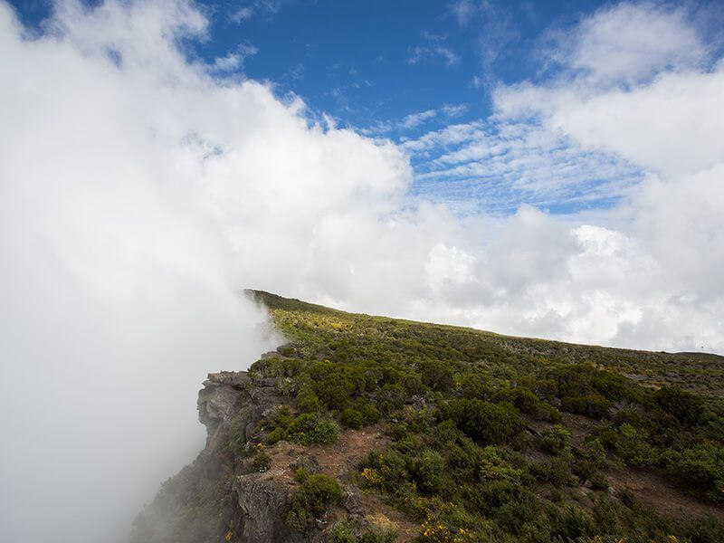 Sommet dans les nuages à La Réunion.