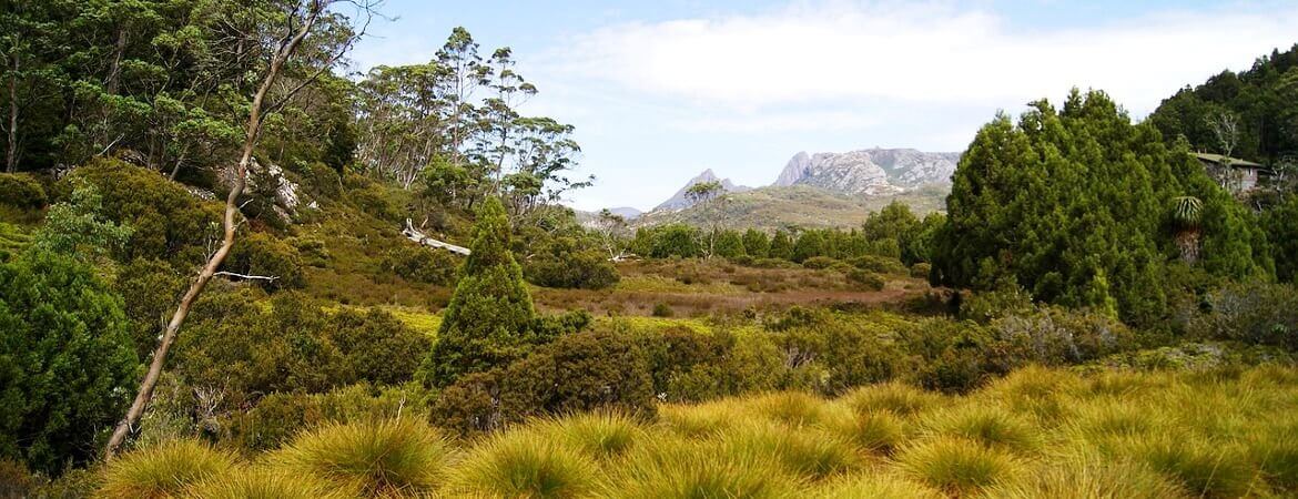 Paysage de montagne en Tasmanie.