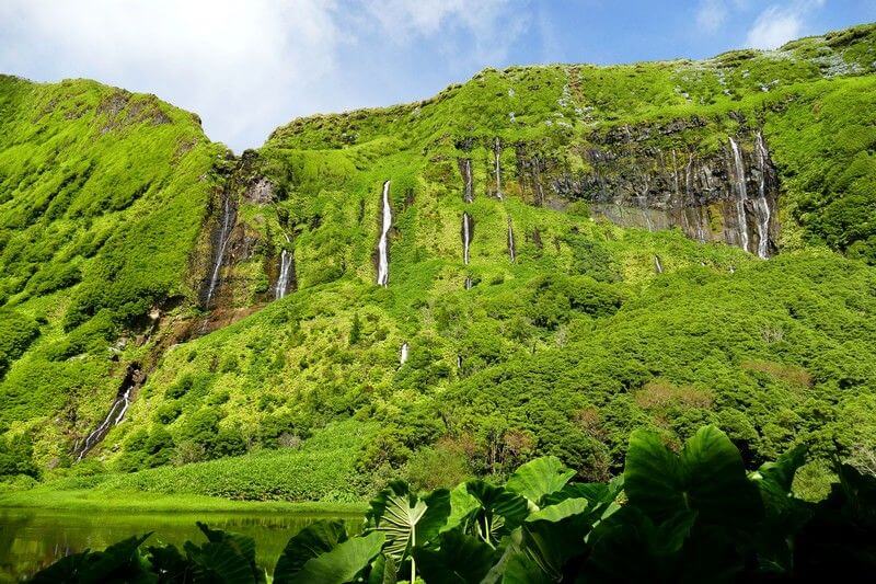 Une cascade aux Açores.