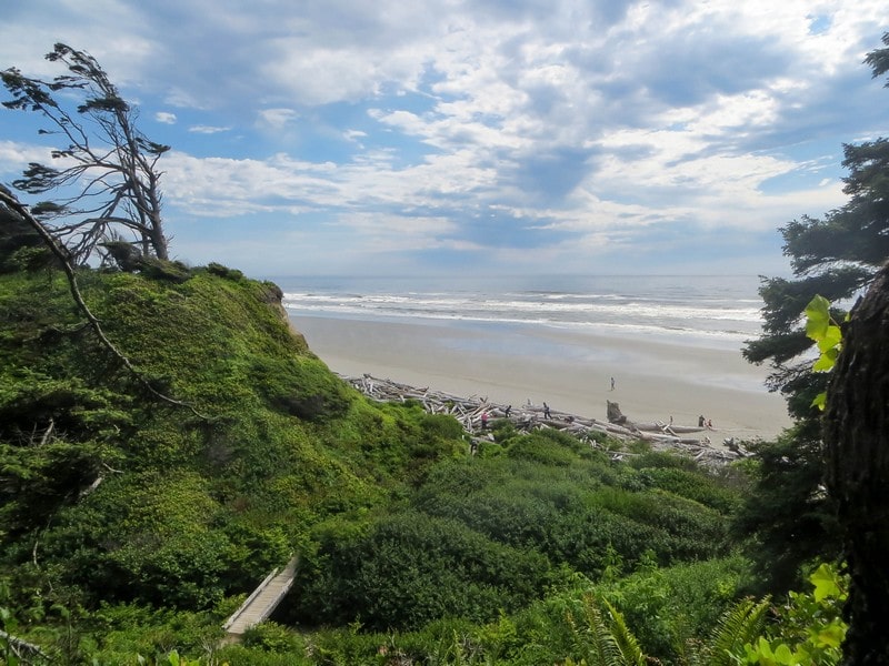 Une plage sauvage aux USA.