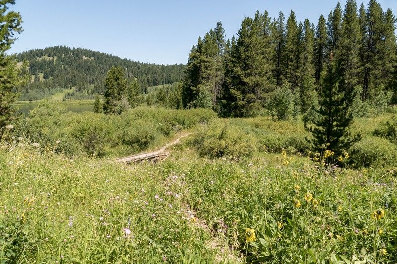 Un chemin de randonnée dans le parc national de Grand Teton.