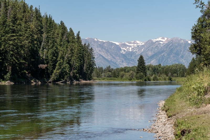 Une rivière dans le parc national de Grand Teton.