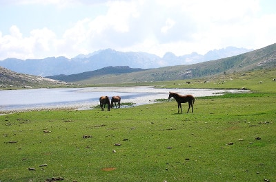 Vue d'un lac en Corse du Nord.