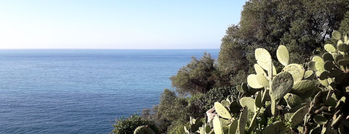 Vue sur la mer à Nice.