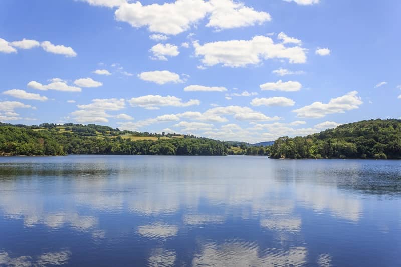 Un lac au milieu d'une forêt.