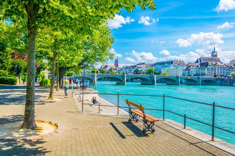 Vue d'un banc sous un arbre au bord d'un fleuve.