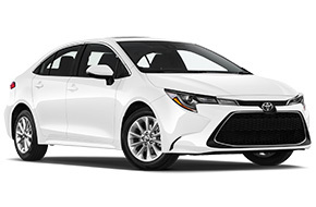 Toyota Corolla Sedan or Similar